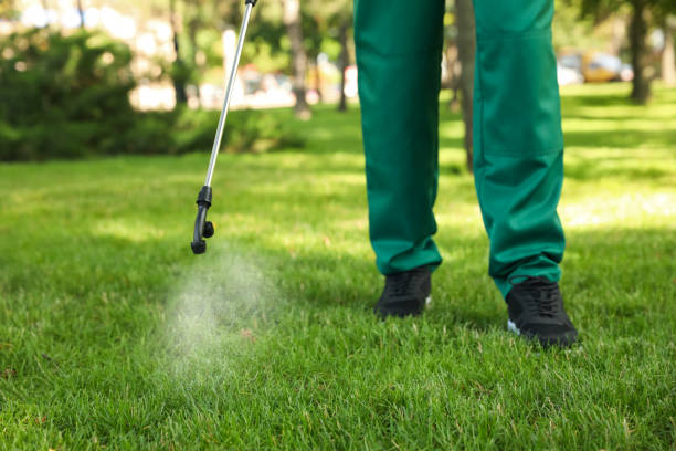 Best Exterminator Services  in San Ramon, CA